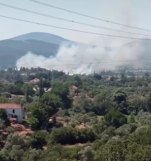 YATAĞAN’DA SAZLIK ALANDA YANGIN