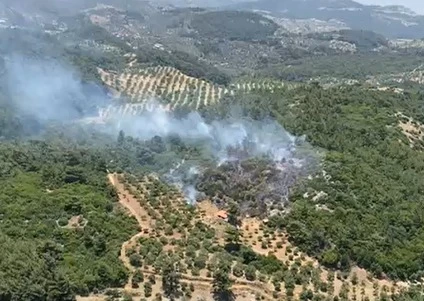 AYDIN GERMENCİK’TE ORMAN YANGINI