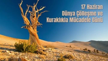 DÜNYADA ÇÖLLEŞME VE KURAKLIKLA MÜCADELE GÜNÜNDE TÜRKİYE
