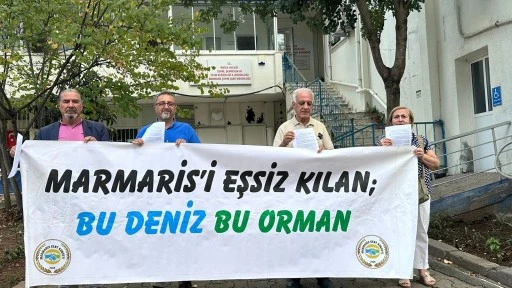   GÖKOVA'NIN KALBİNE YAPILACAK TESİS TEPKİ ÇEKİYOR