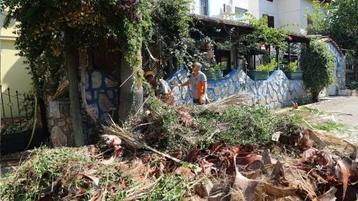 MARMARİS'TE FIRTINA ÖNCESİ AĞAÇ BUDAMASI YAPILDI