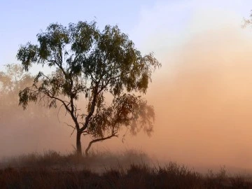 METEOROLOJİ UYARDI: TOZ TAŞINIMI BEKLENİYOR