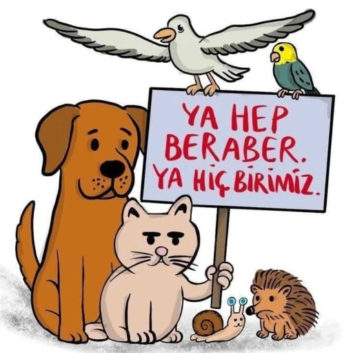 4 EKİM HAYVANLARI KORUMA GÜNÜ: KUTLAMA DEĞİL YAS GÜNÜ
