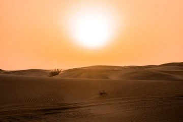 SOĞUK HAVA DALGASIYLA BAHARIN SONU