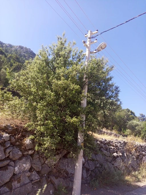 BAYIR MAHALLESİ’NDE TEHLİKE’NİN FARKINDA MISINIZ   