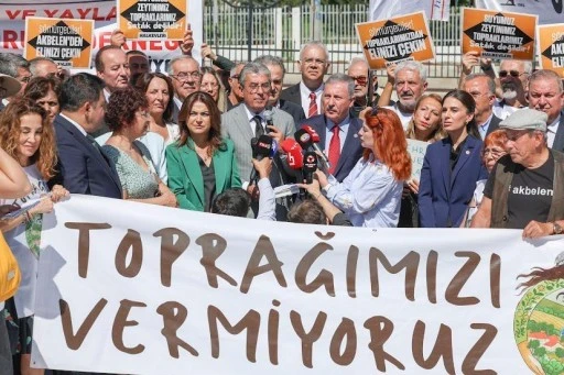 MİLLETVEKİLİ ÖZCAN, ZEYTİN KATLİAMI MECLİS GÜNDEMİNE TAŞIDI