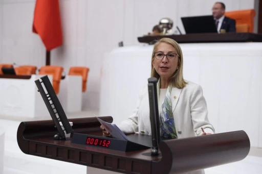 CHP&rsquo;li&nbsp; DERİCİ, SEL MAĞDURU &Uuml;RETİCİLER İ&Ccedil;İN VERDİĞİ &Ouml;NERGE İLE BAKANLIĞI G&Ouml;REVE &Ccedil;AĞIRDI