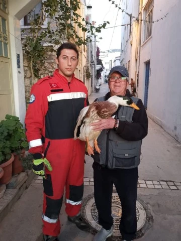    BÜYÜKŞEHİR İTFAİYESİNDEN HAYVAN KURTARMA OPERASYONU