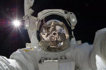 NASA'DAN: Lazer İle Dünya'ya Kedi Videosu
