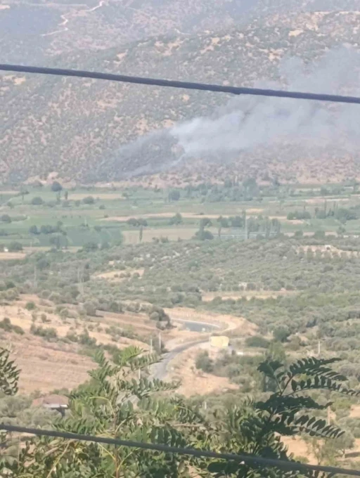 Nazilli’de makilik ve zirai alan yangını
