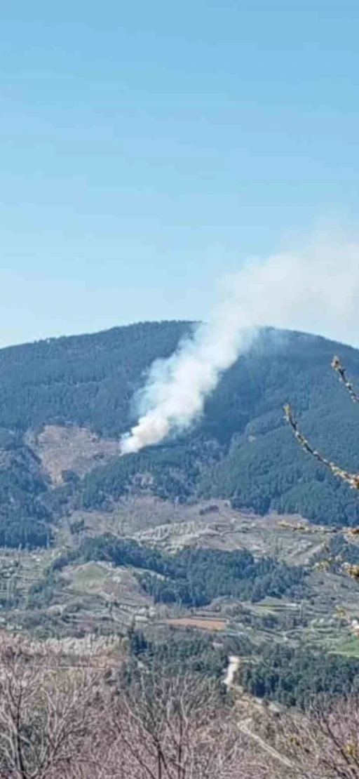 Nazilli&rsquo;de orman yangını
