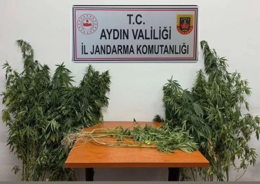 Nazilli’de uyuşturucu operasyonu
