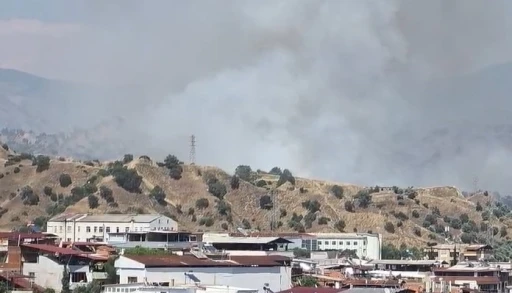 Nazilli&rsquo;de zirai alan yangını
