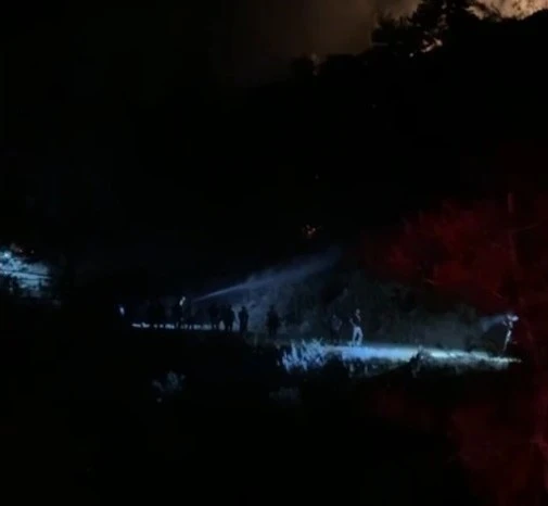 Nazilli’deki orman yangını kontrol altına alındı
