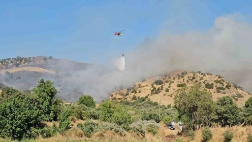 Nazilli’deki zirai alan yangını kontrol altına alındı
