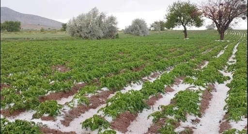 Nevşehir’de sel ve dolu tarım arazilerini vurdu
