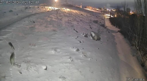 Niğde&rsquo;de a&ccedil; kalan kurtlar k&ouml;ye indi
