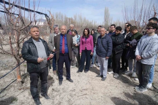 Niğde’de çiftçilere meyve ağaçlarında aşılama eğitimi
