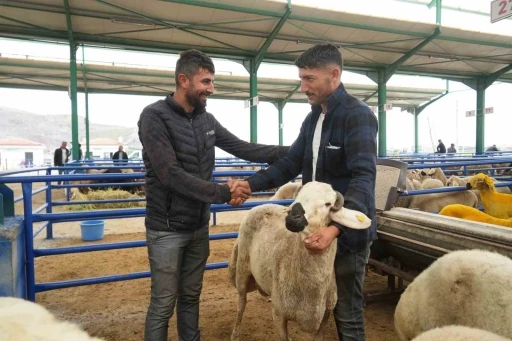 Niğde&rsquo;de hayvan pazarında bayram bereketi yaşanıyor
