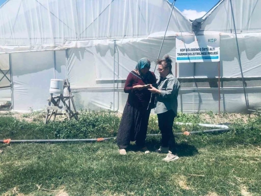 Niğde’de KOP destekli seralarda üretim başladı
