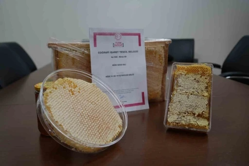 Niğde&rsquo;nin &rsquo;Geven Balı&rsquo; Coğrafi İşaretle tescillendi
