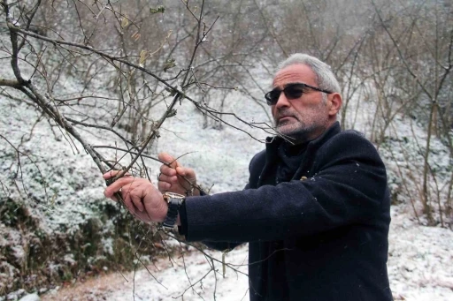 Nisan karı fındık üreticisini endişelendirdi
