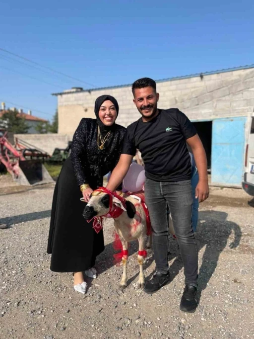 Nişanlısına süslediği koyunu hediye etti
