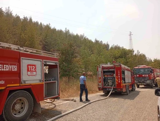 Nizip Belkız Köyü mesire alanında yangın
