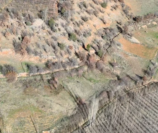 Nurhak&rsquo;ta yaban domuzu avı yapıldı
