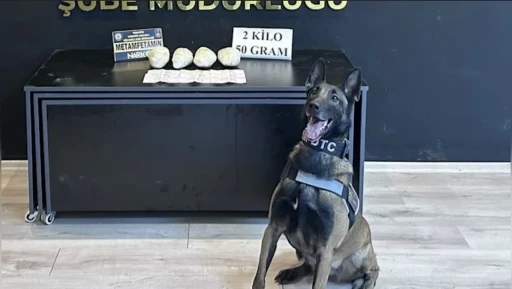 Ocak ayının en başarılı narkotik k&ouml;peği "Jardi" oldu

