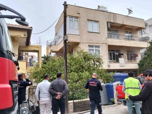 Ocakta unutulan yemekten çıkan yangında 2 kedi telef oldu
