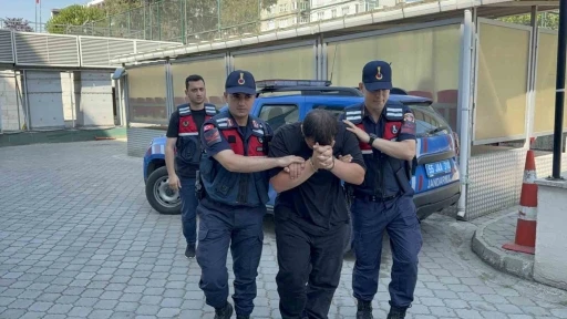 Odunluğa saklanan 4 bin 531 uyuşturucu hap ele ge&ccedil;irildi: 1 tutuklama
