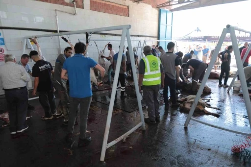 Odunpazarı Belediyesi’nden ücretsiz ve hijyenik kurban kesim hizmeti
