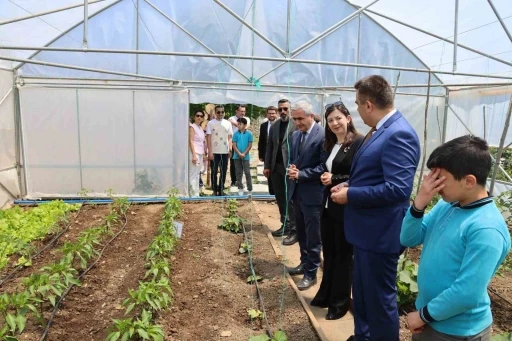 Öğrenciler bu bahçede sebze ve meyve yitiştirecek
