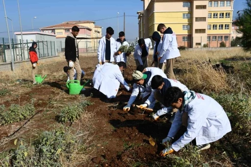 Öğrencilere ’tohumdan sofraya’ tarım eğitimi

