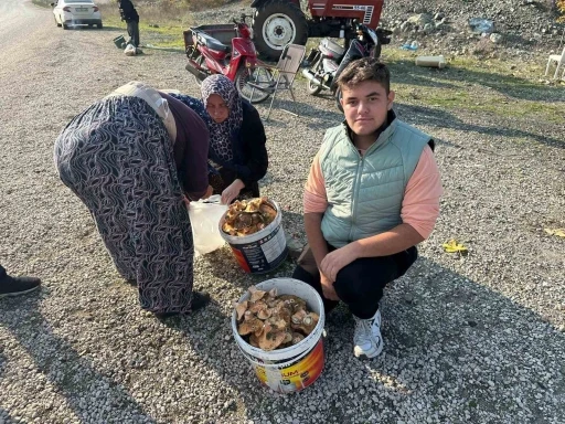 Okul harçlığını &quot;kanlıca&quot;dan çıkarıyor
