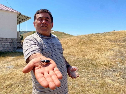 Öldürmenin cezası 557 bin TL