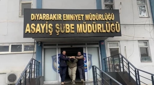 &Ouml;ld&uuml;r&uuml;len Atlas &Ccedil;ağlayan&rsquo;ın ailesini tehdit eden şahıs Diyarbakır&rsquo;da tutuklandı
