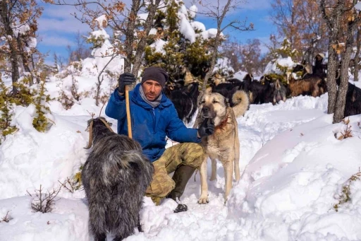 &Ouml;ld&uuml;r&uuml;len k&ouml;peğine otopsi yaptırdı, sorumluların bulunmasını istiyor
