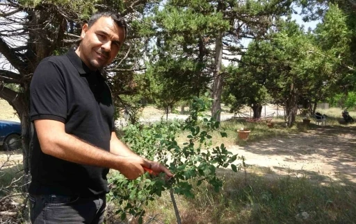 Ölmeden ölüm ilanı verildi, duyunca şok oldu

