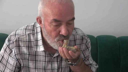 Ölmek üzereyken bulduğu kuşu ağzıyla besliyor
