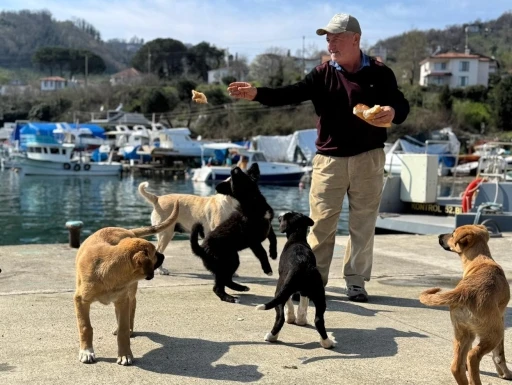 Olta tutkunu vatandaştan sokak k&ouml;peklerine şefkat
