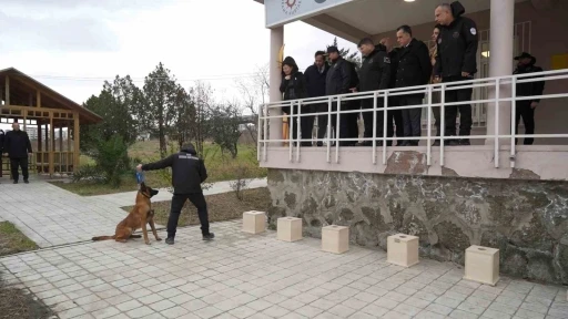 OM&Uuml;&rsquo;de yetiştirilen g&ouml;rev k&ouml;peği &rsquo;Pars&rsquo;, Samsun Emniyeti&rsquo;ne teslim edildi
