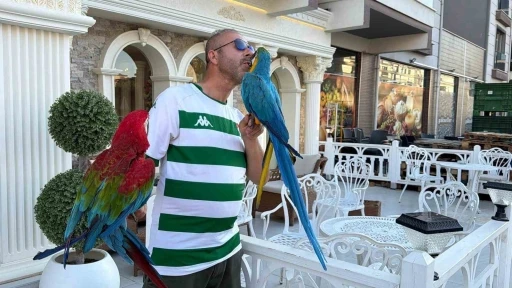 Onları g&ouml;renler d&ouml;n&uuml;p bir daha bakıyor