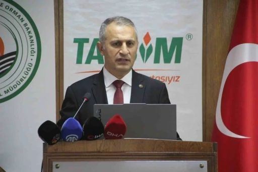 Ordu 16 bin 750 ton ile Türkiye’nin en fazla bal üretimini yapan il
