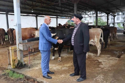 Ordu Büyükşehir, Kurban Bayramı hazırlıklarını tamamladı
