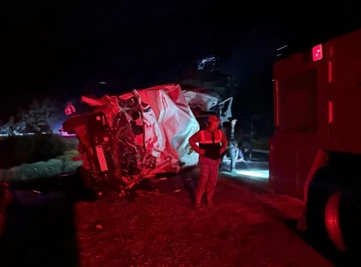 Ordu’da 2 kamyon kafa kafaya çarpıştı: 1 ölü, 1 yaralı
