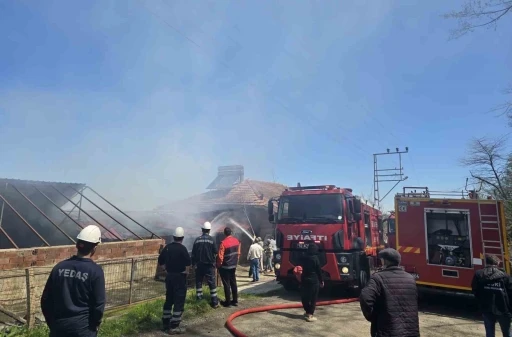 Ordu&rsquo;da 3 katlı binada yangın

