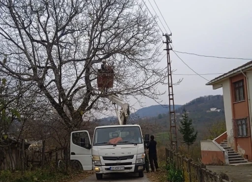 Ordu&rsquo;da elektrik tellerine temas eden ağa&ccedil; dalları kesildi
