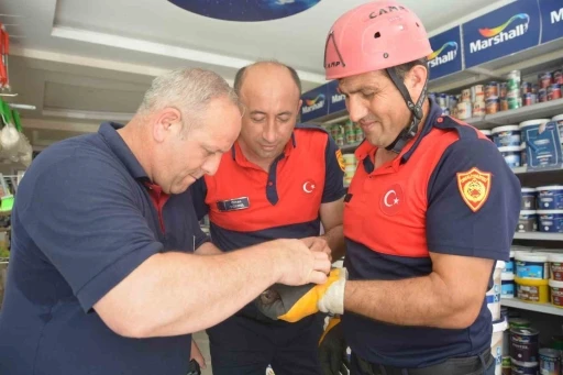 Ordu&rsquo;da itfaiye ekipleri, ebabil kuşu i&ccedil;in seferber oldu
